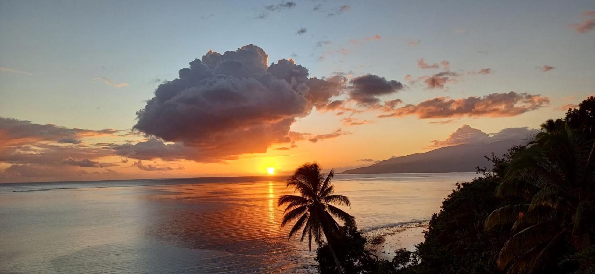 Maui Homestay Vue Ocean Exceptionnelle & Baleines En Saison Tohautu Buitenkant foto